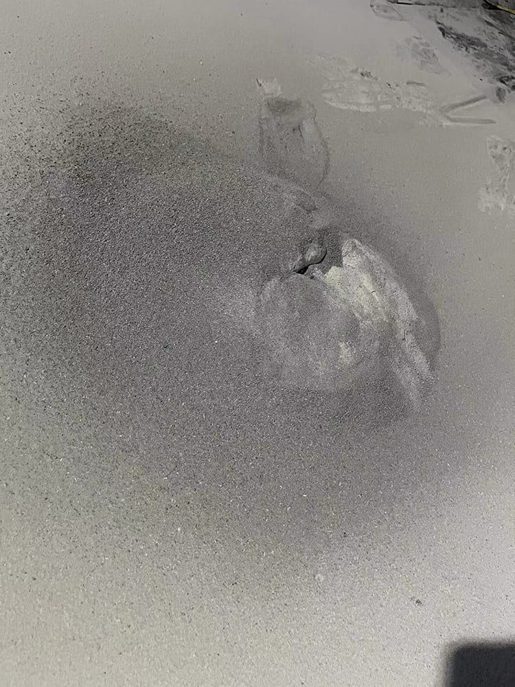 crushed material