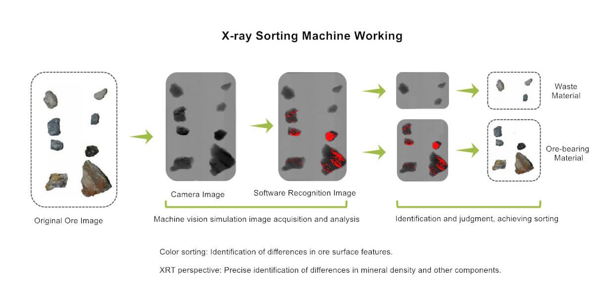X Ray Sorting Machine Working