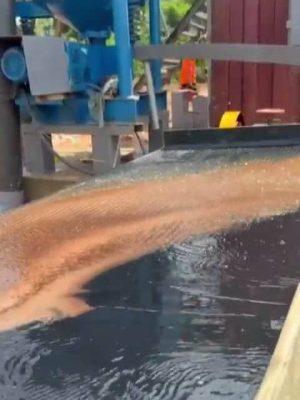 Côte d'Ivoire 5TPH Alluvial Tantalum & Niobium Process Plant