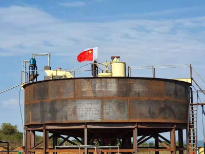 Kenya 300TPD Rock Gold CIP Processing Plant