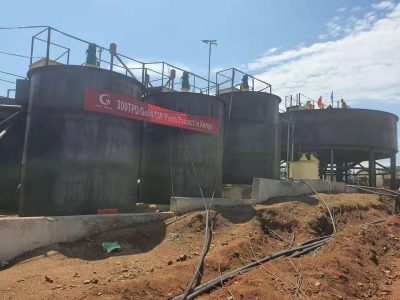 Kenya 300TPD Rock Gold CIP Processing Plant