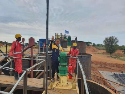 Kenya 300TPD Rock Gold CIP Processing Plant